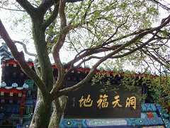 DSC01755_大小