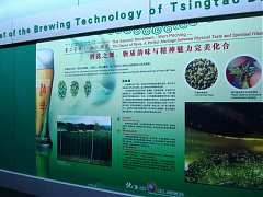 DSC01886_大小