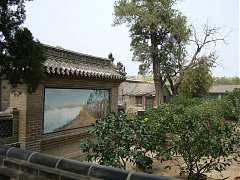 DSC01488_大小
