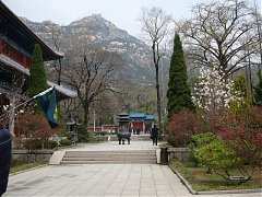 DSC01746_大小