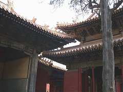 DSC01422_大小