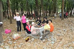 IMG_1647324222580247