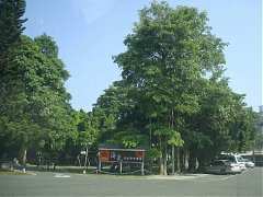 DSC02655