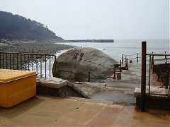 DSC01737_大小
