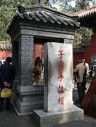 DSC01528_大小