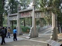 DSC01519_大小