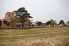 178163281_c