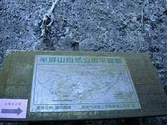 DSC02517