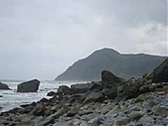 181564874_c
