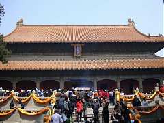 DSC01437_大小