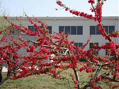 DSC01345_大小