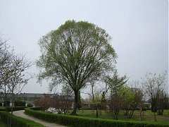 DSC01489_大小