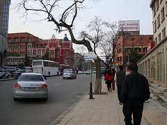 DSC01877_大小
