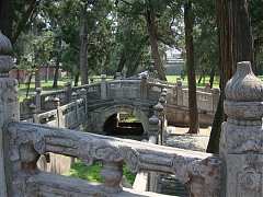 DSC01397_大小