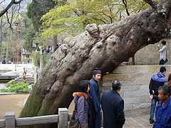 DSC01768_大小