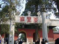 DSC01393_大小