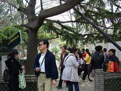 DSC01485_大小