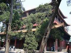 DSC01409_大小
