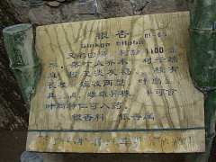 DSC01765_大小