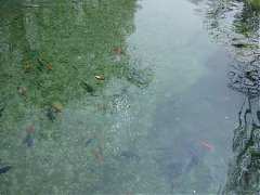 DSC01325_大小