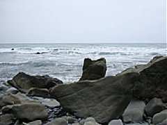 181564840_c
