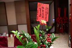 IMG_1232 (大型)