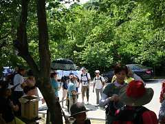 DSC00528