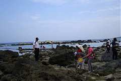 DSC07071