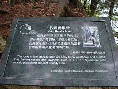 237359240