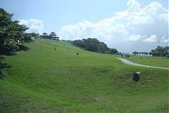 DSC07274