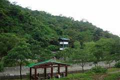 DSC06855