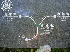 237360563