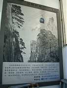 237361068