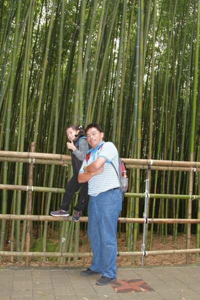 20201024-25國內旅遊_201231..