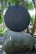 DSC07231