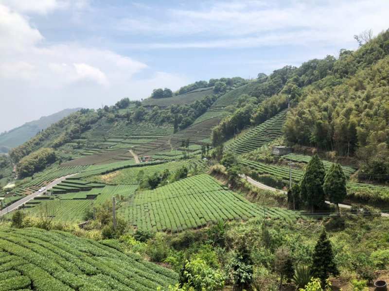 20210502永續登山隊「太平雲..