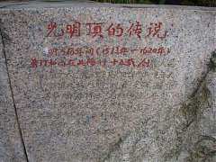 237359423