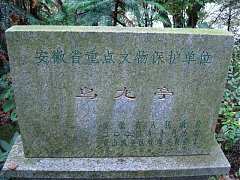 237359694