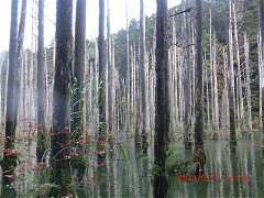 2013-03-17 水漾 067 (小型)