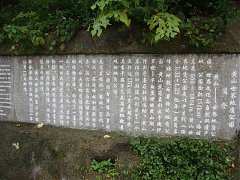 237353947