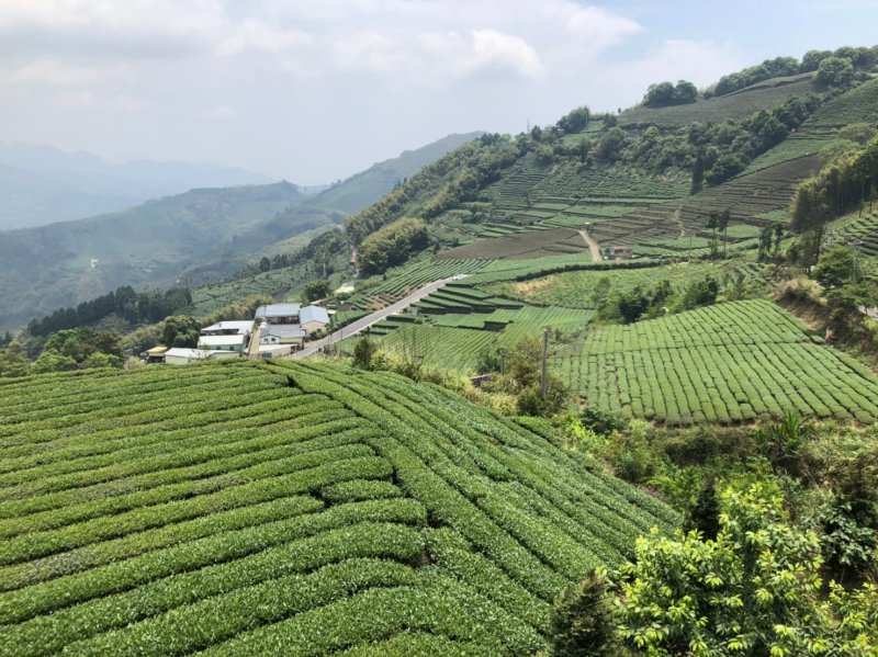 20210502永續登山隊「太平雲..