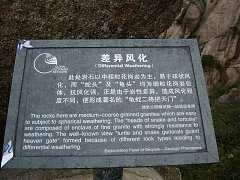 237359306