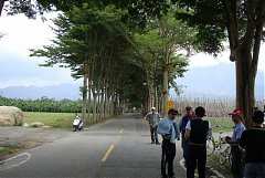 DSC07333