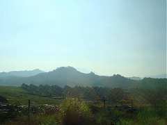 237361629